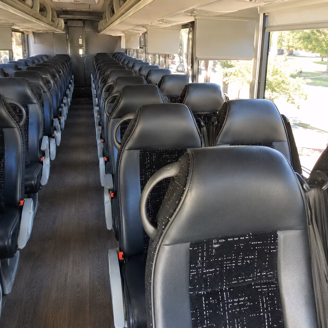 Albuquerque School Event Transportation party bus exterior